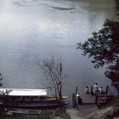 View from Kuala Trenggan, Taman Negara